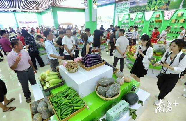 連州土壤硒含量豐富，富硒農(nóng)特產(chǎn)品吸引了眾人關(guān)注的目光。梁素雅 攝