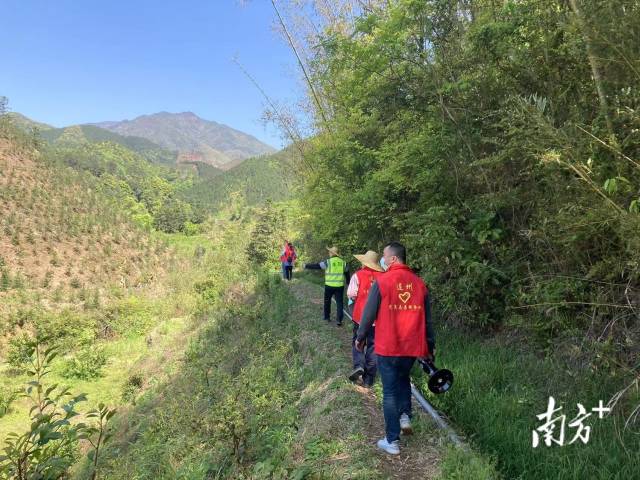 巡山。