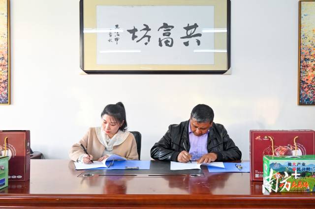 企業(yè)采購(gòu)意向簽約儀式。張曉欣 攝