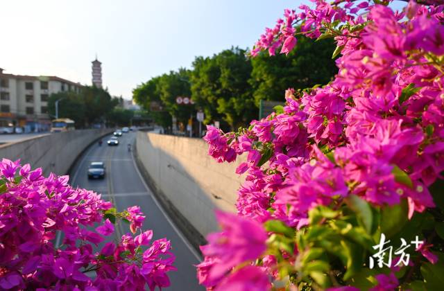 連州織就一張“外聯(lián)內(nèi)暢、城鄉(xiāng)融合”的立體交通藍(lán)圖。黃津 攝