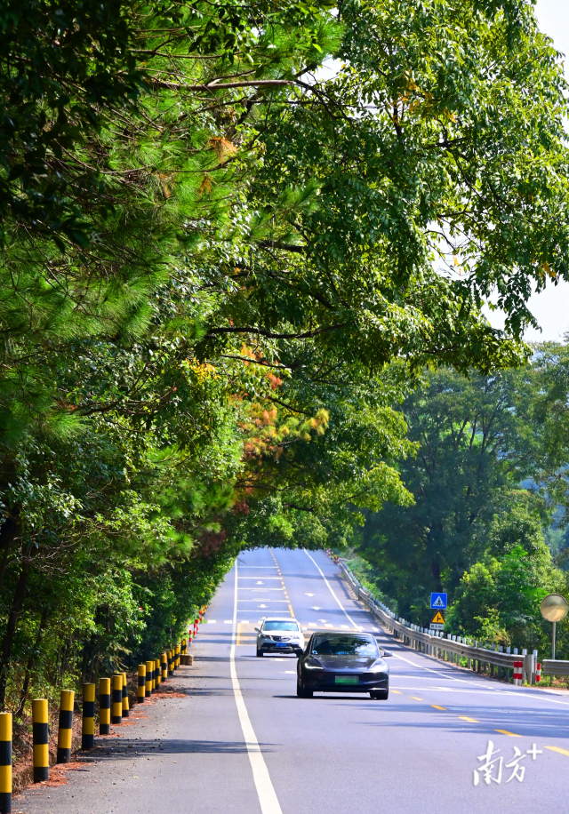 連州“四好農(nóng)村路”省級示范縣創(chuàng)建考核總分排全省第二。黃津 攝
